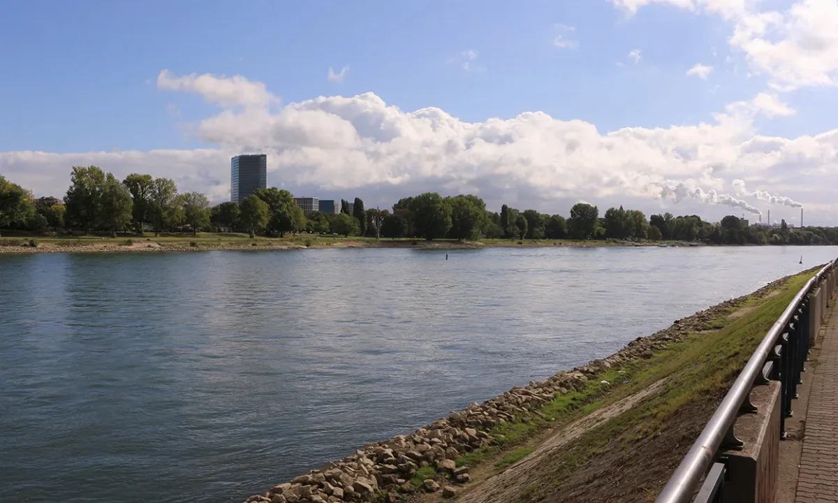Fassadenbau Firma   Ludwigshafen am Rhein